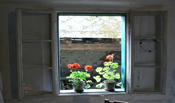 You guys really need to keep the baby away from the window