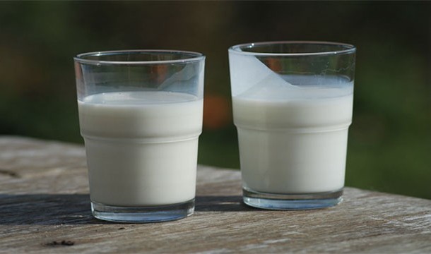 Buttermilk contains no butter.