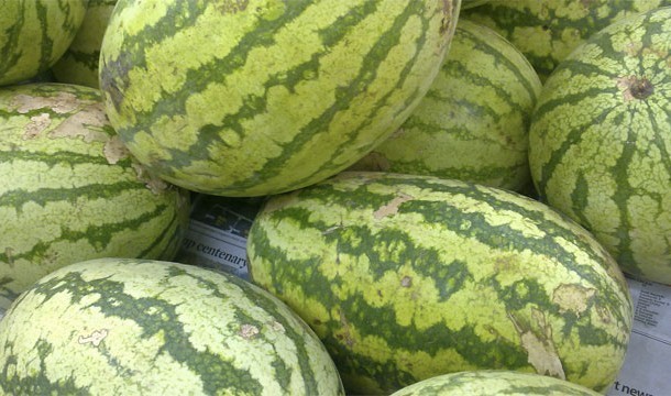 Watermelons are technically berries.