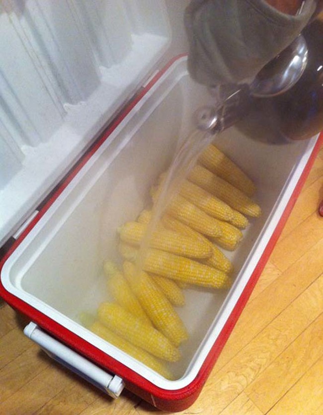 The secret to cooking a giant batch of corn on the cob is a cooler filled with boiling water.