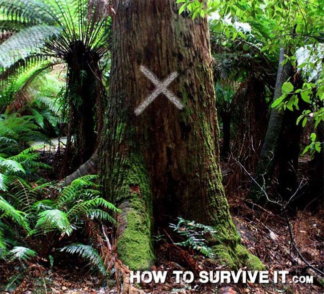 Before heading out on a hike, make sure you have a piece of chalk in your pocket. Mark trees you pass to keep track of where you've traveled. It will stop you from walking around in circles.