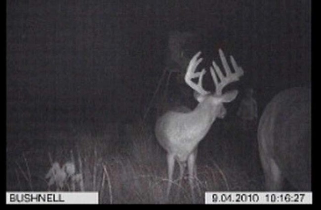 Thanks to modern technology, there are now apps that let you add ghosts to your pictures.