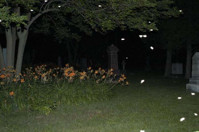 Sometimes though, the orbs can actually be bugs.