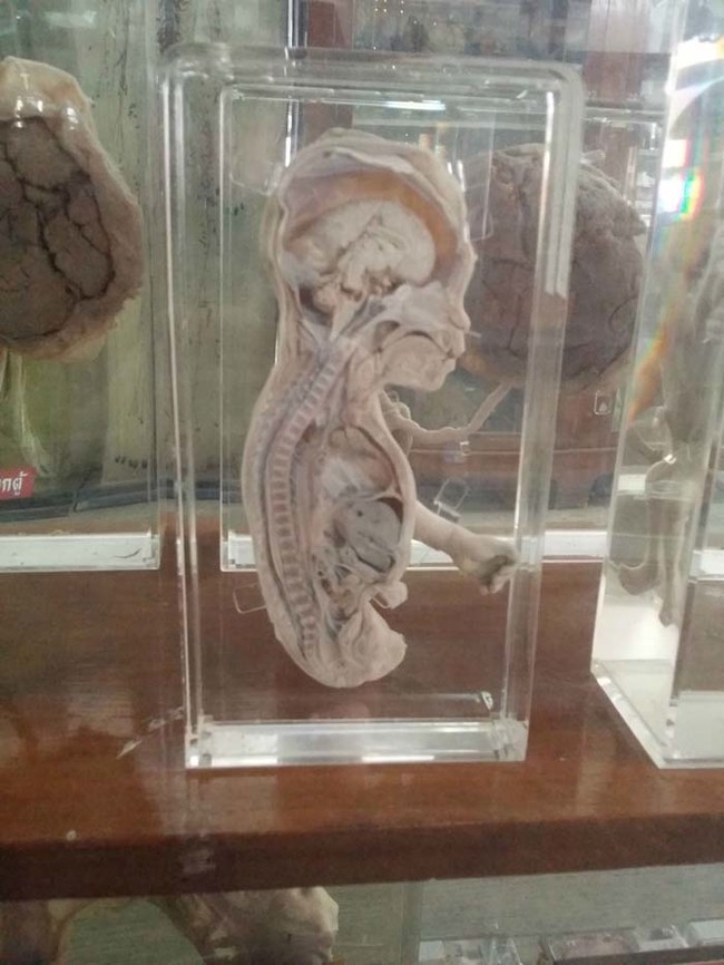 The oddities inside range from "Hmm interesting..." to "OMG WHAT?!"