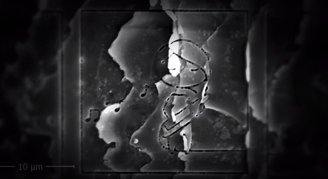 Everything here is measured in micrometers. A micrometer is a thousandth of a millimeter, or as we non-scientists like to say, it's very, very, very small.