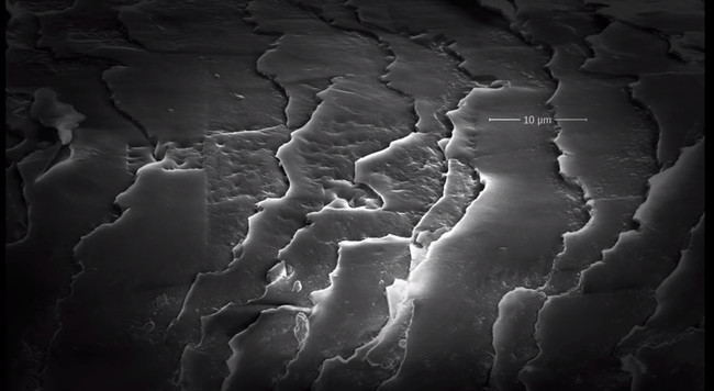 This is the surface of a strand of hair. Hair is actually covered in layers that look like scales.