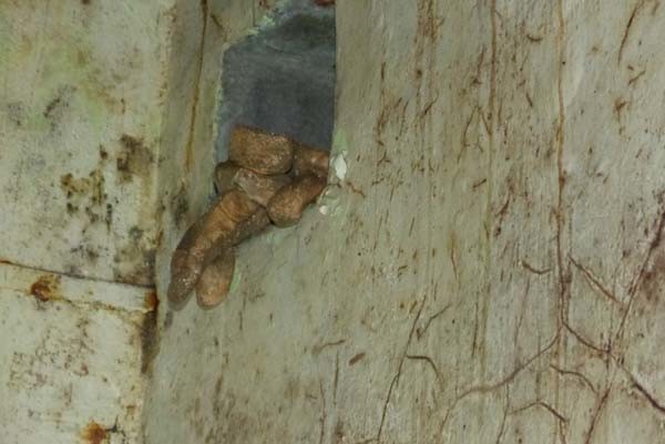 Random gloves, left in the great hall.