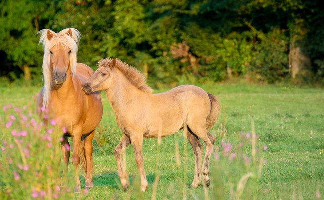 "Lookin' good, Marge! Can I borrow your straightener sometime?"