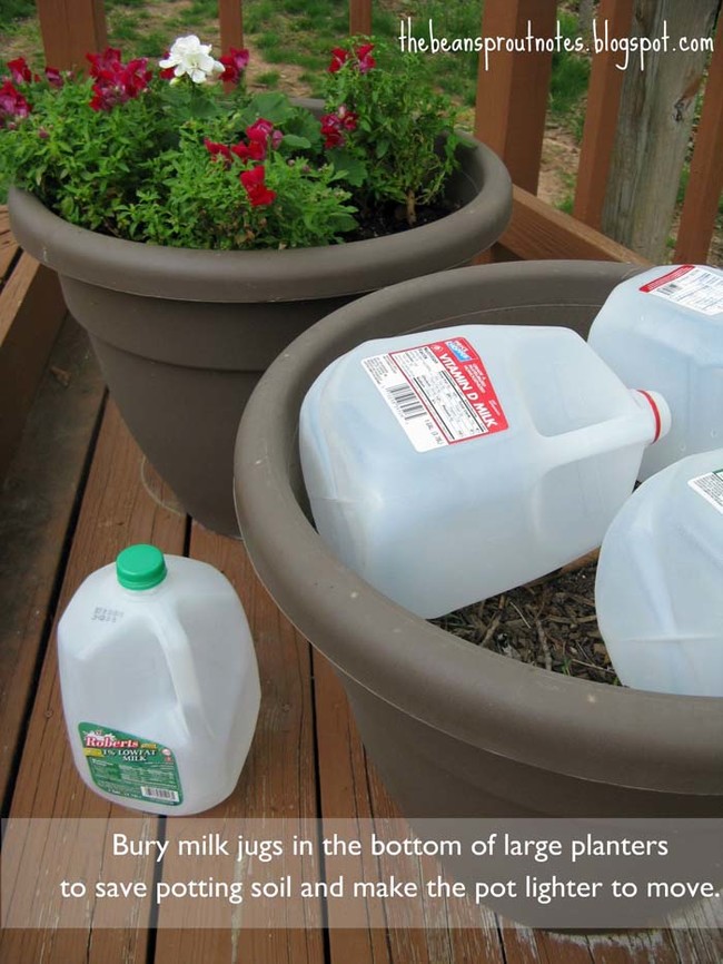 Instead of filling up an entire planter with potting soil, stuff the bottom with milk jugs.