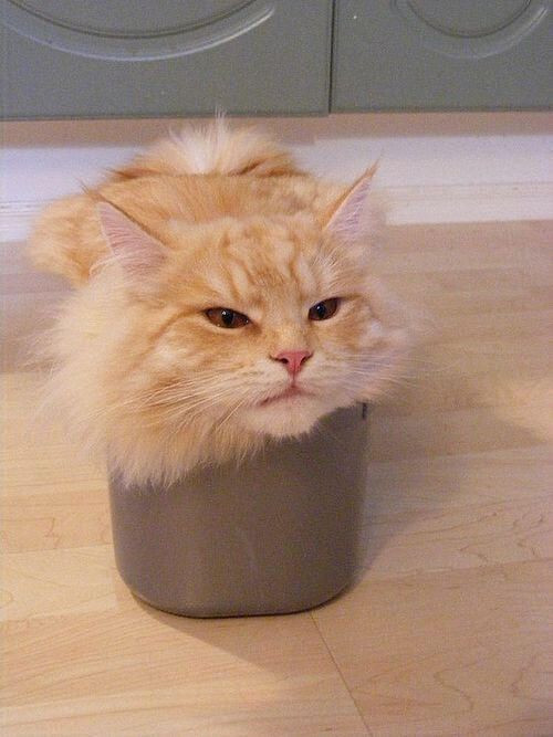 "Put. The butter. Away."