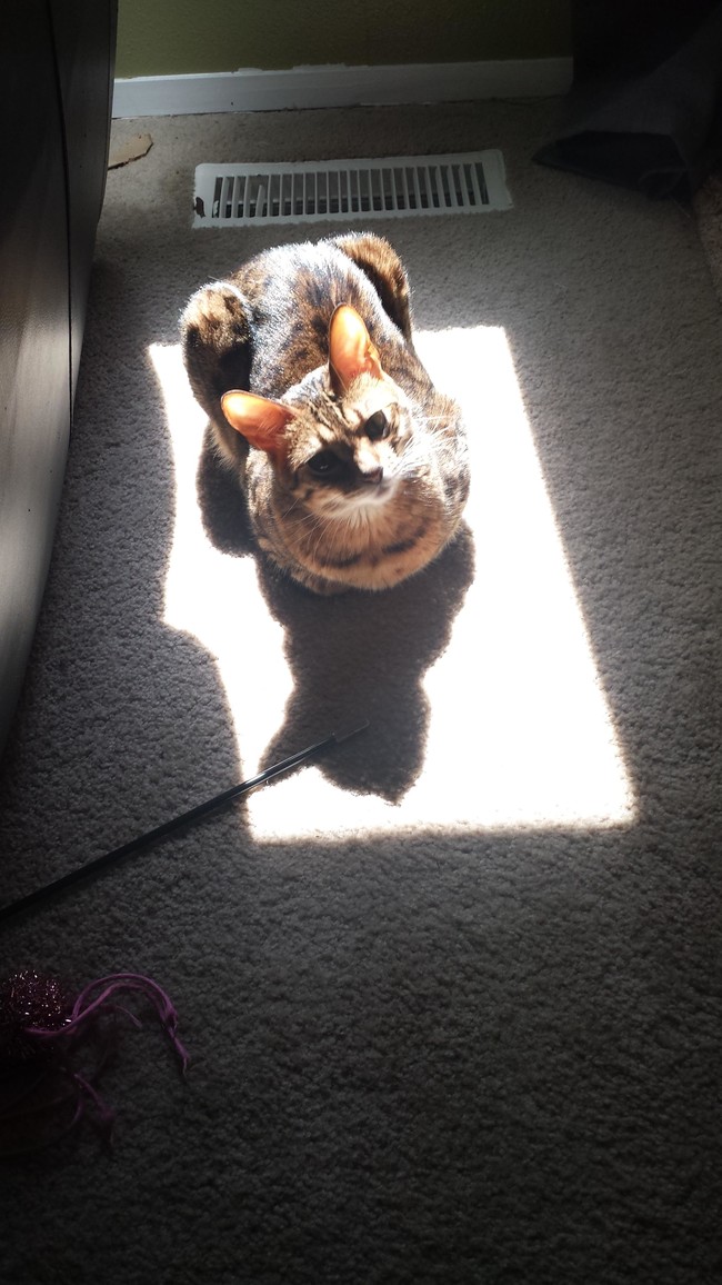 "I think I need another 10 minutes."