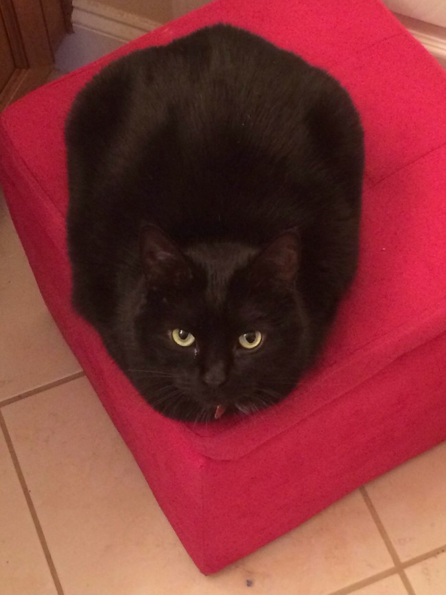 His favorite band is The Breadles.