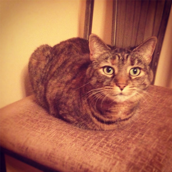 He was raised rye-t.