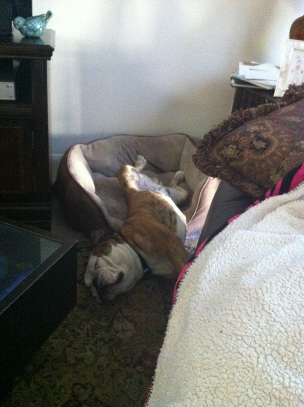 Well, I guess if he's comfortable...