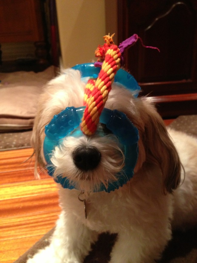 "This is so much fun!"