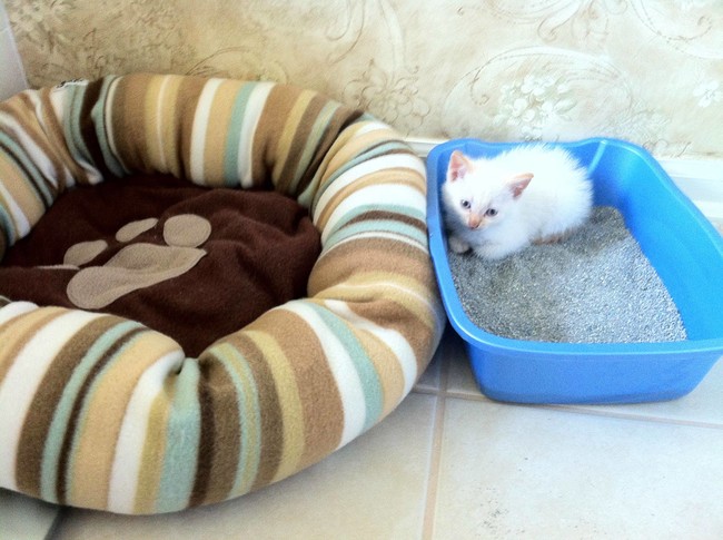 Well, at least she's ready for accidents.