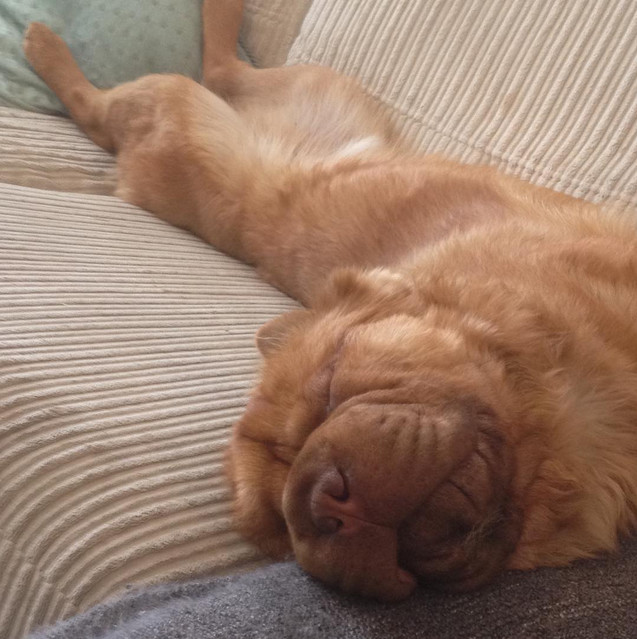 They say to never wake a sleeping bear...