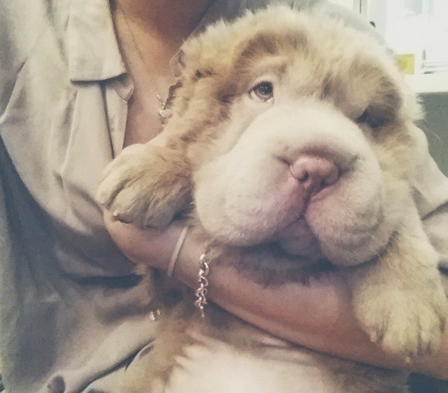 I didn't know there was a Bring Your Bear To Work Day!