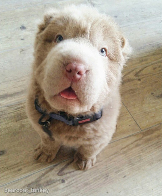 That tongue, though.