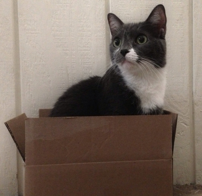 "Is that a bigger box over there?"