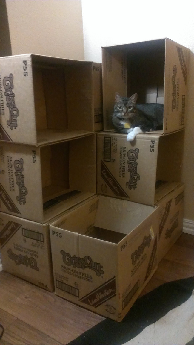 "You give me a castle when you decide we're going to move? Not happening."