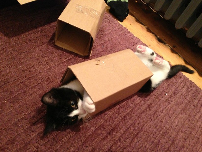 "It's like the best hug ever!"