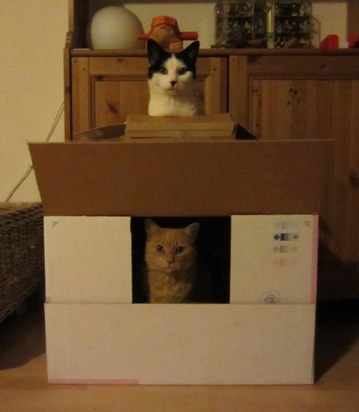 "Um...may we help you?"