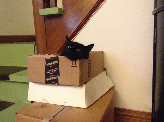 "I am never leaving here. I'm not joking."