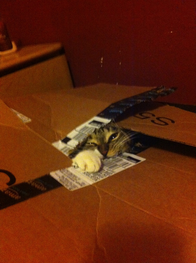 "Enter at your own risk!"