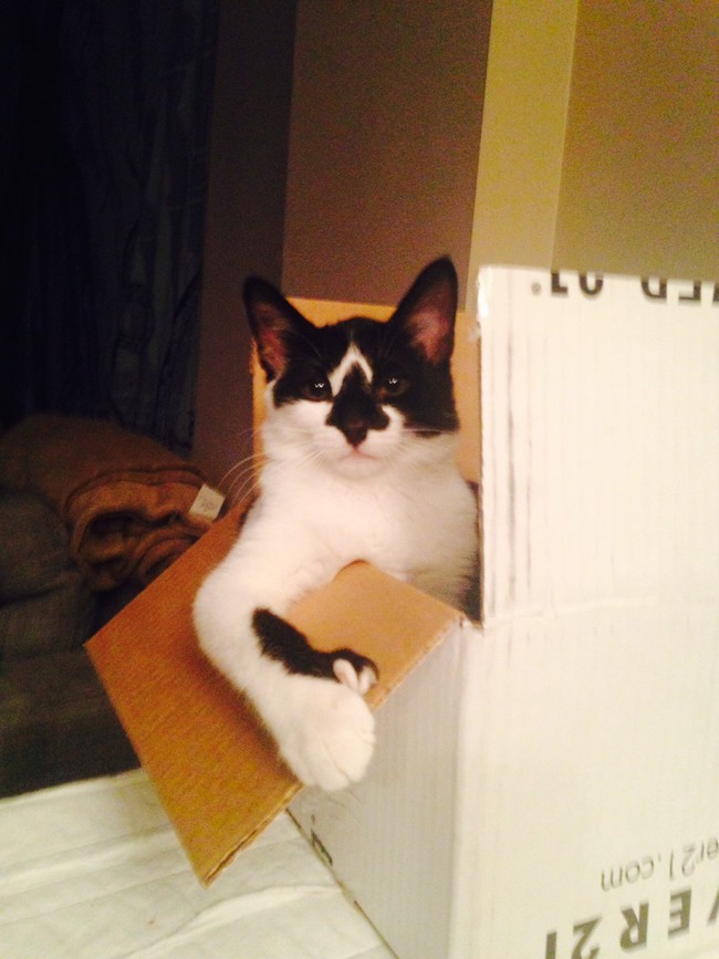 "Sorry, this box is invitation only."