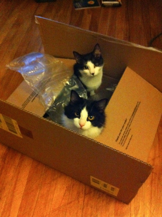 "You get a toy, we get a toy. Got it?"