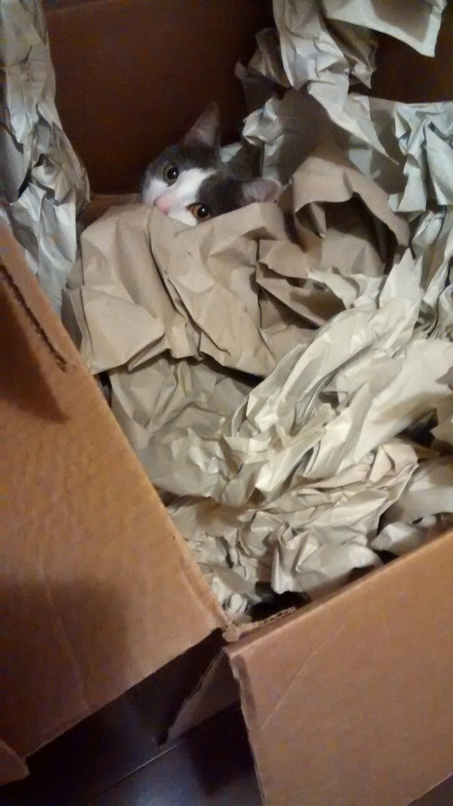 "You can't see me. Go away."