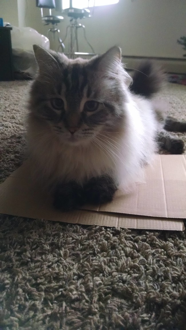 "Where's the rest of it?"