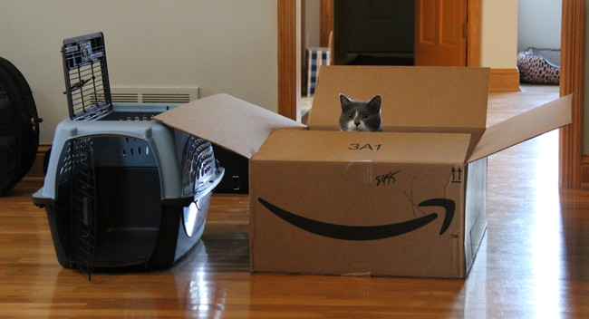 "Take that plastic thing away from me."