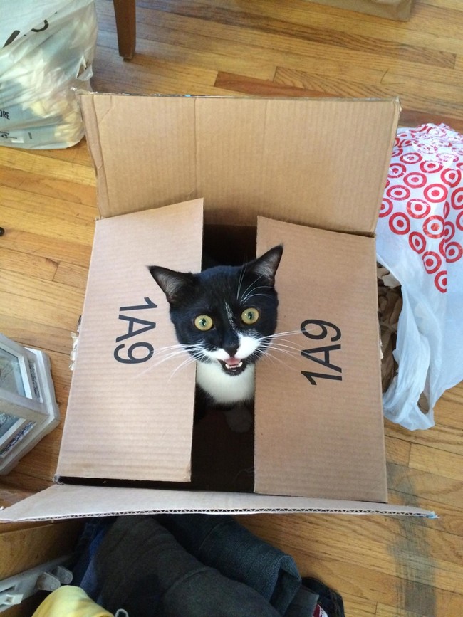 The first box is the sweetest.