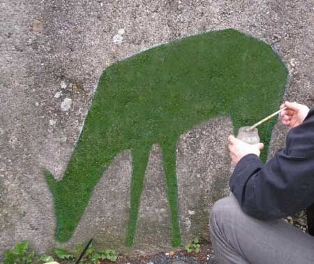 Landscaping isn't just on land: design awesome moss graffiti.
