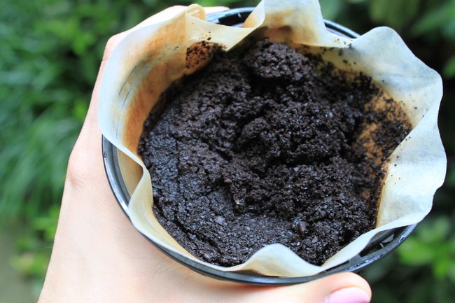 Coffee grounds will enrich your soil and keep it safe from critters.
