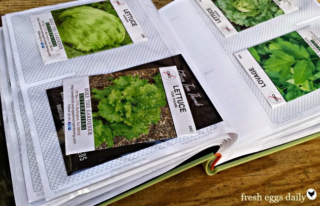 Keep your seeds organized with a photo album.
