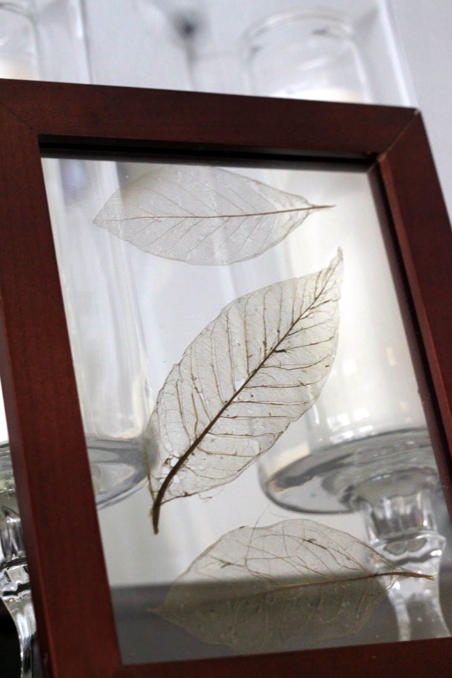 Skeleton leaves are striking on their own...