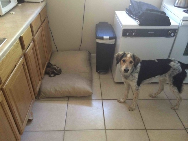 "Do you see this disrespect?"