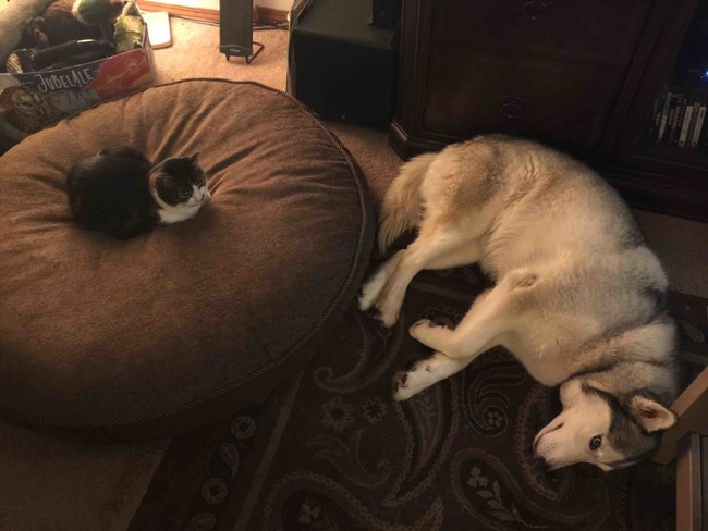 "Ugh, whatever, take it."