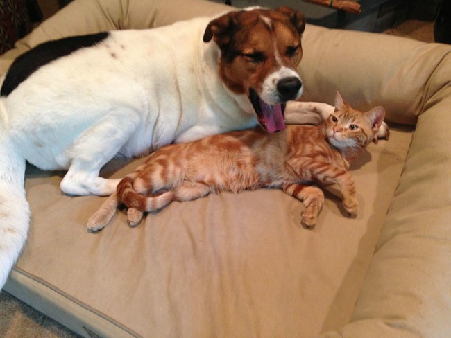 "MOOOOOM! He's doing it AGAIN!"