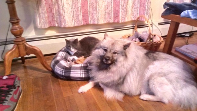 Well, to be fair, her coat does basically act as a built-in bed.