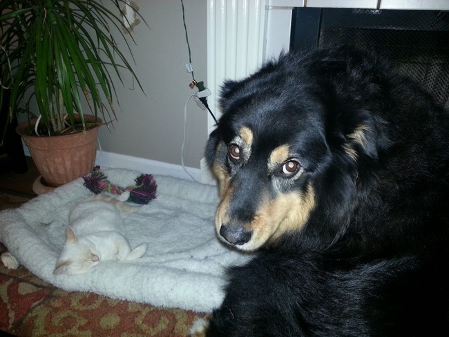 "Seriously? This again?"