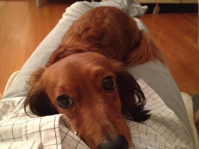 "These ears aren't gonna scratch themselves."