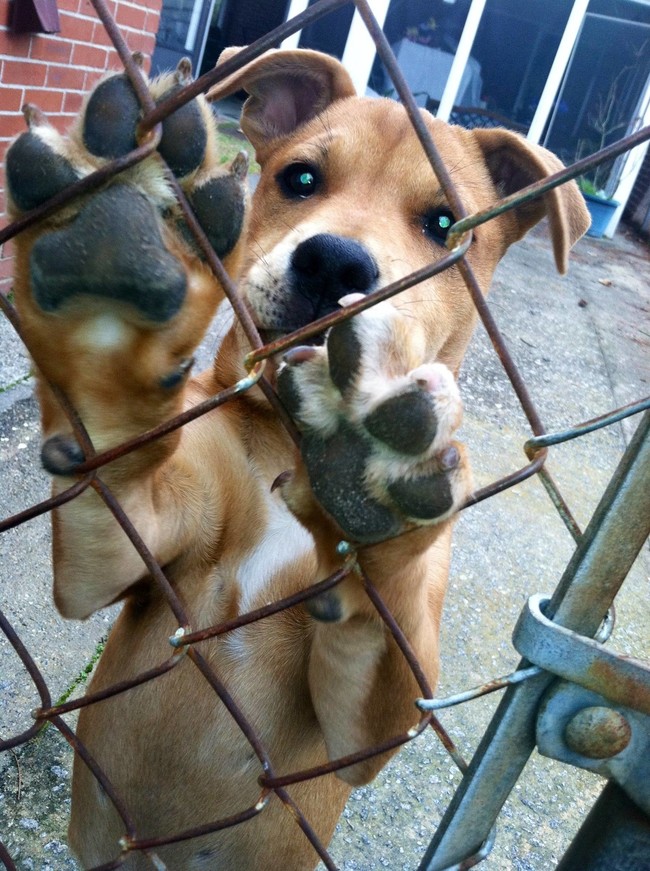 "I will remember you..."