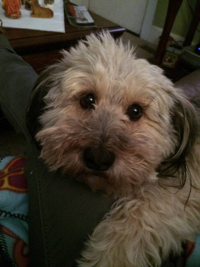 "Nope you're not leaving...I promise, you don't have to pee."