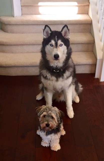 "Why do you hate us?" "Was it something we said?"