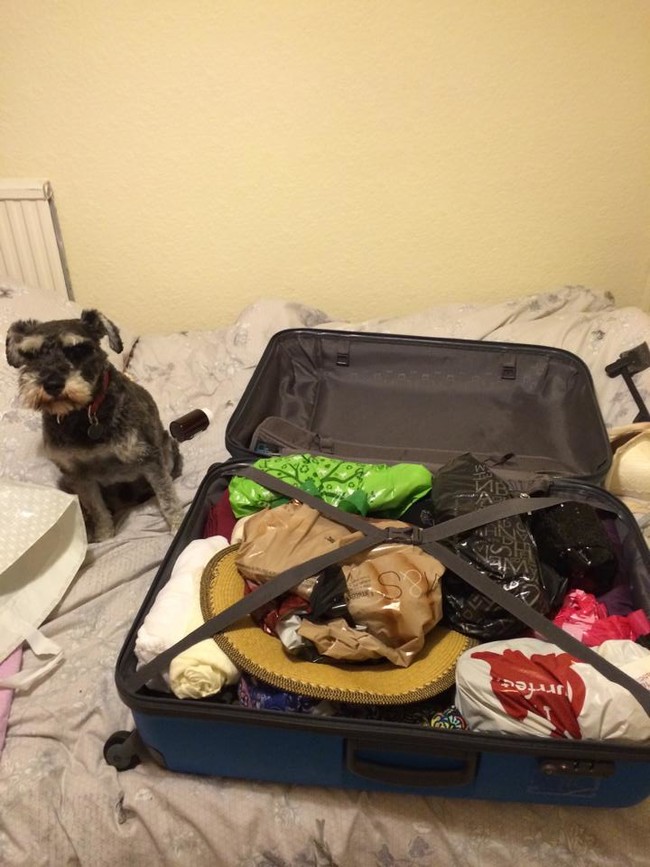 "I better at least get an awesome souvenir."