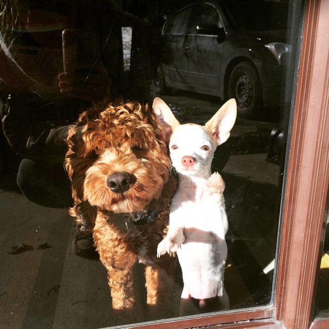 "At least we still have each other."